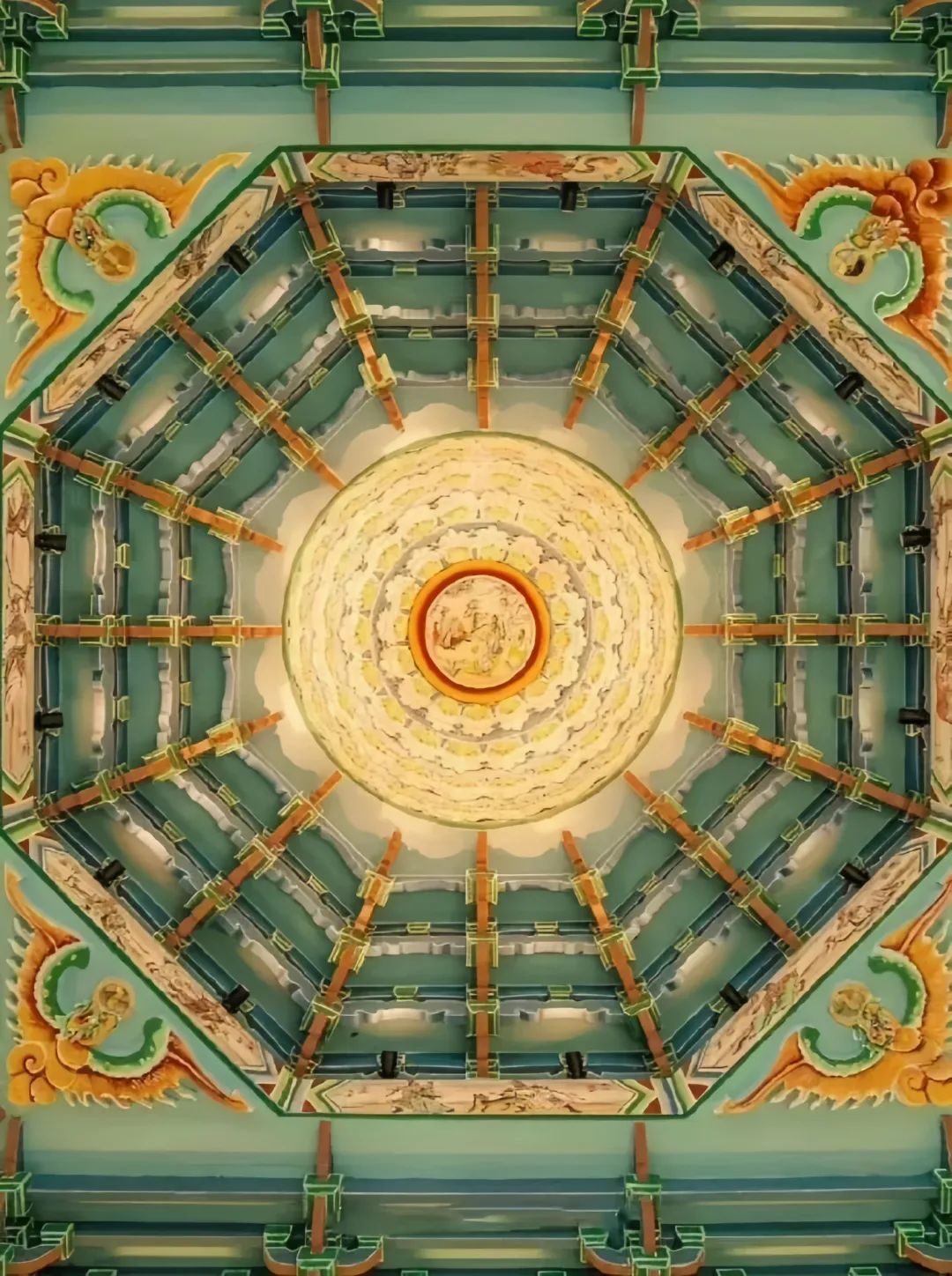 1742799844110958.jpg